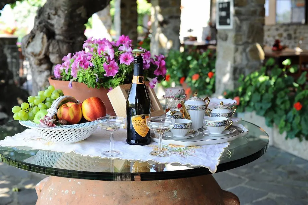 Villa Agriturismo Borgo Mocale Castelfranco di Sopra