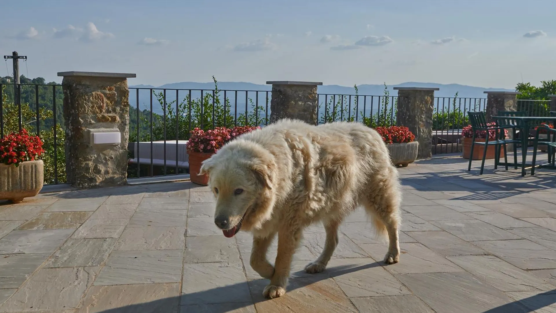 Agriturismo Borgo Mocale Villa Castelfranco di Sopra Italy
